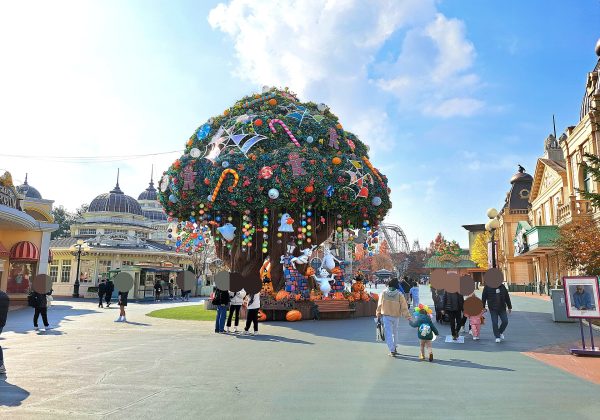 Seoul · Đảo Nami · Everland · Lotte World