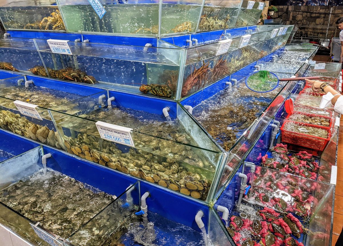 Hải sản tươi sống